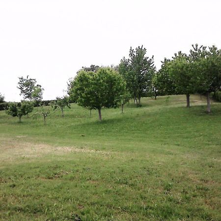 Casa In Campagna _Lori 沃尔塔曼托瓦纳 外观 照片