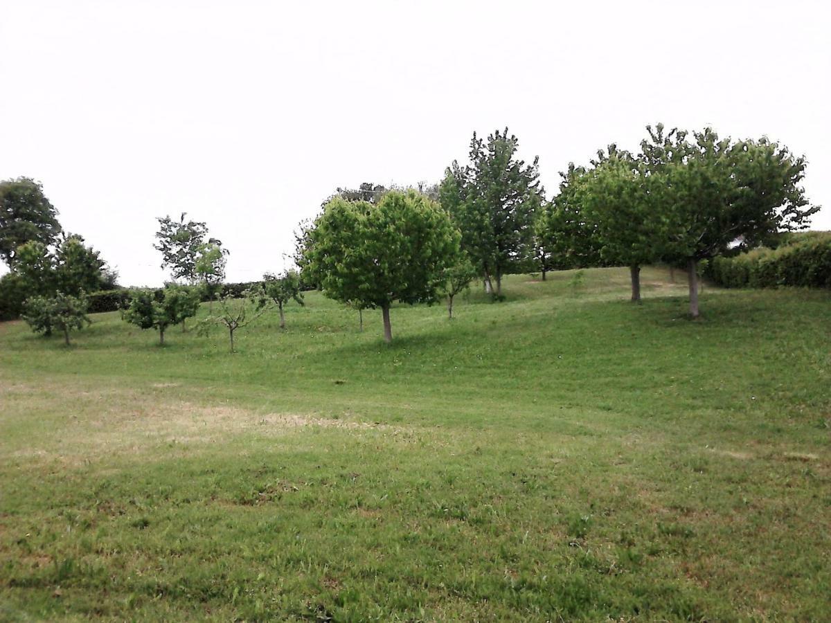 Casa In Campagna _Lori 沃尔塔曼托瓦纳 外观 照片