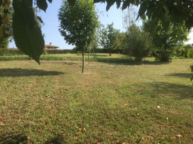 Casa In Campagna _Lori 沃尔塔曼托瓦纳 外观 照片