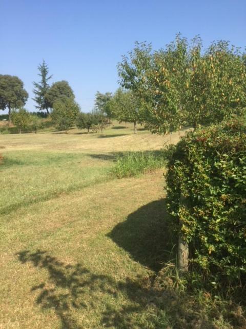 Casa In Campagna _Lori 沃尔塔曼托瓦纳 外观 照片