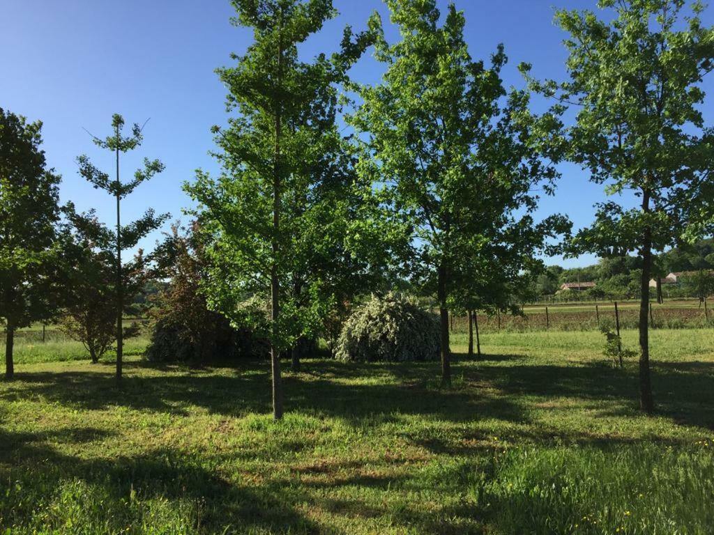 Casa In Campagna _Lori 沃尔塔曼托瓦纳 外观 照片